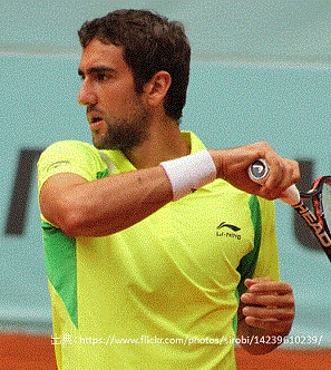 marin cilic